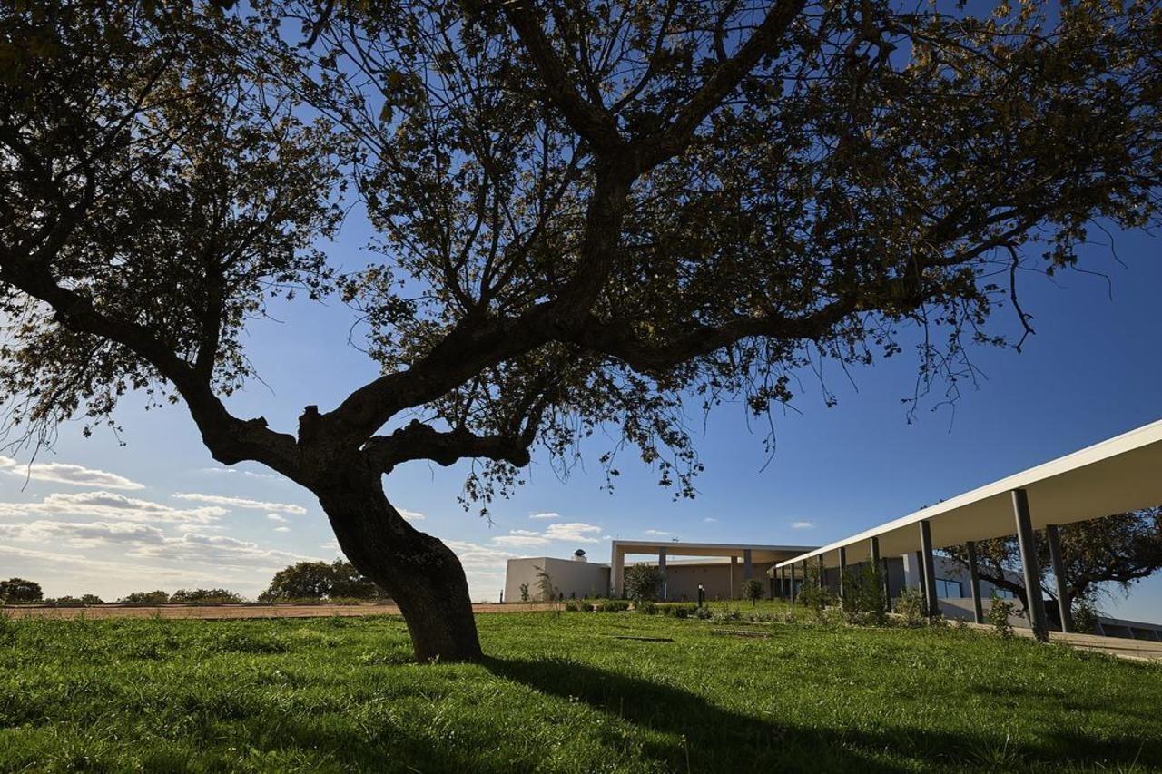Herdade Dos Delgados มอโรง ภายนอก รูปภาพ