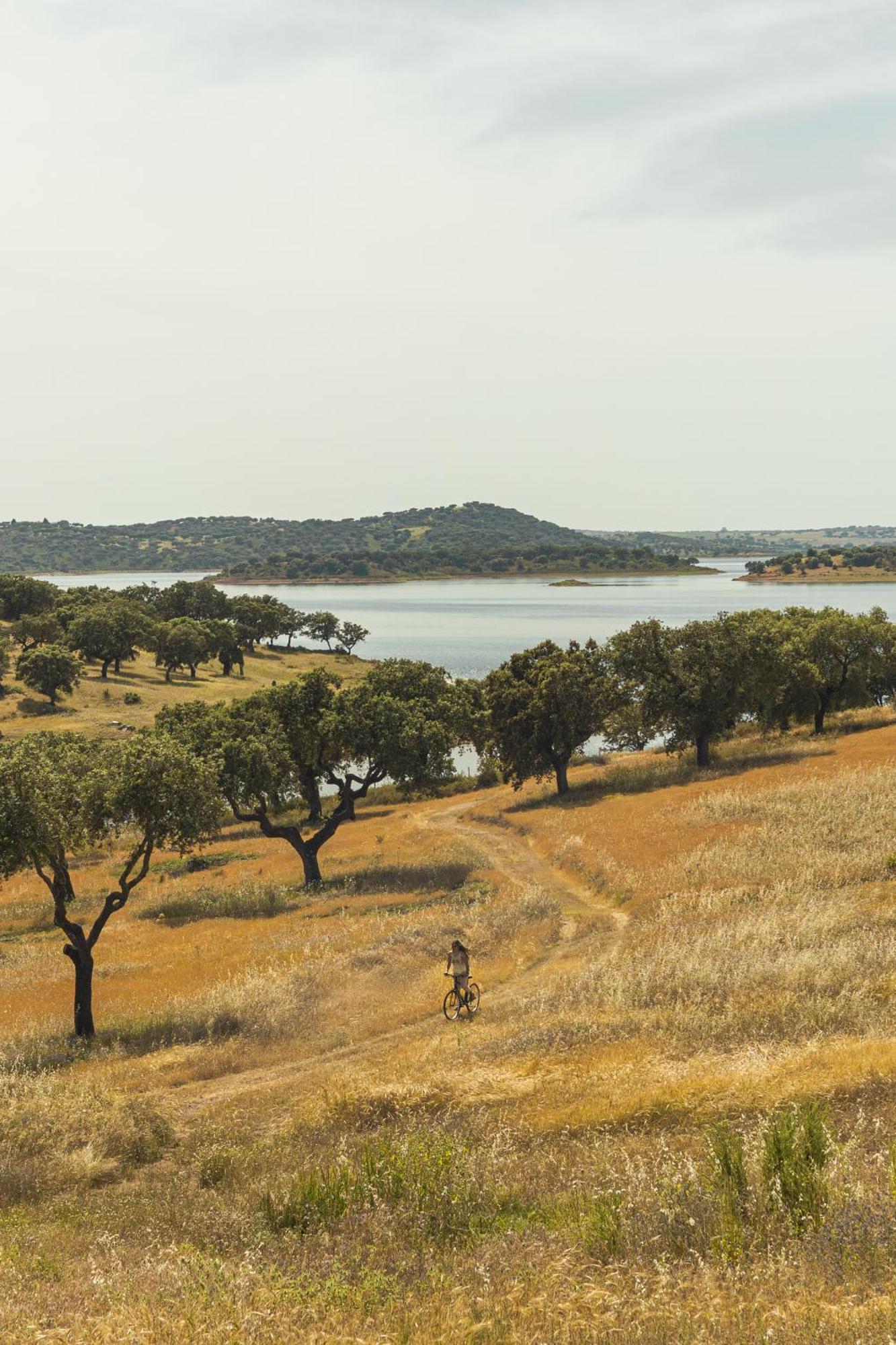 Herdade Dos Delgados มอโรง ภายนอก รูปภาพ