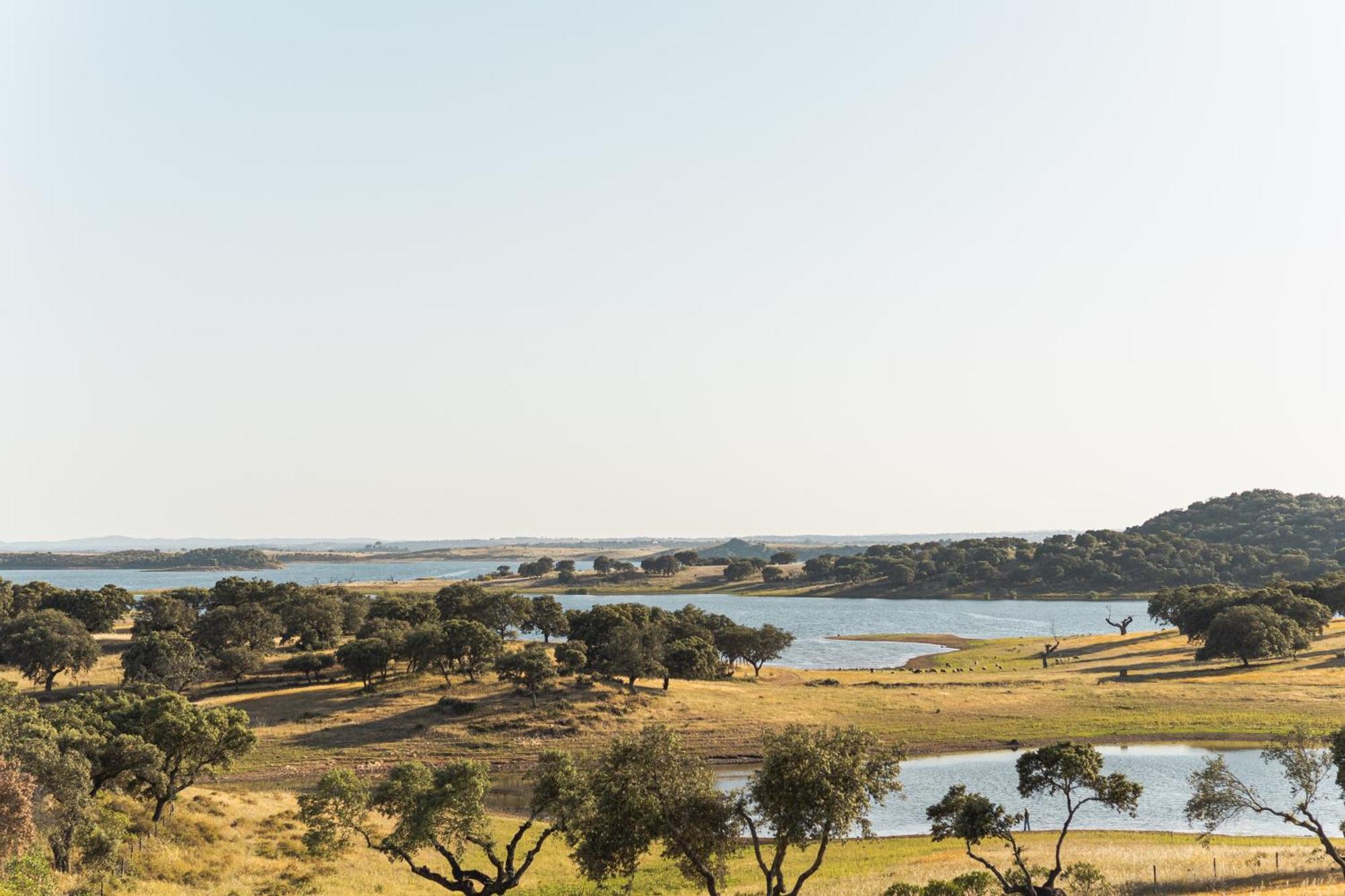 Herdade Dos Delgados มอโรง ภายนอก รูปภาพ