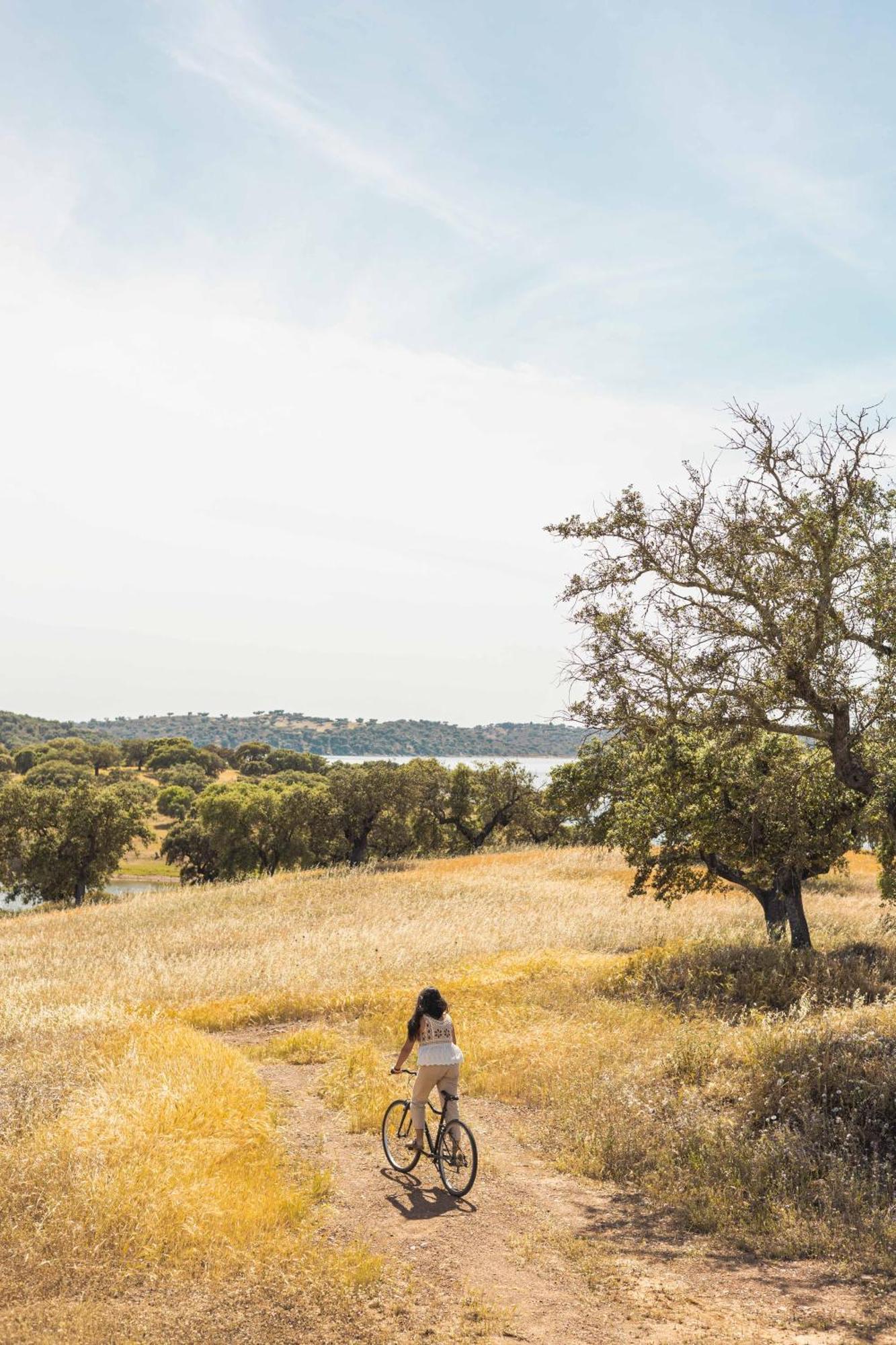 Herdade Dos Delgados มอโรง ภายนอก รูปภาพ
